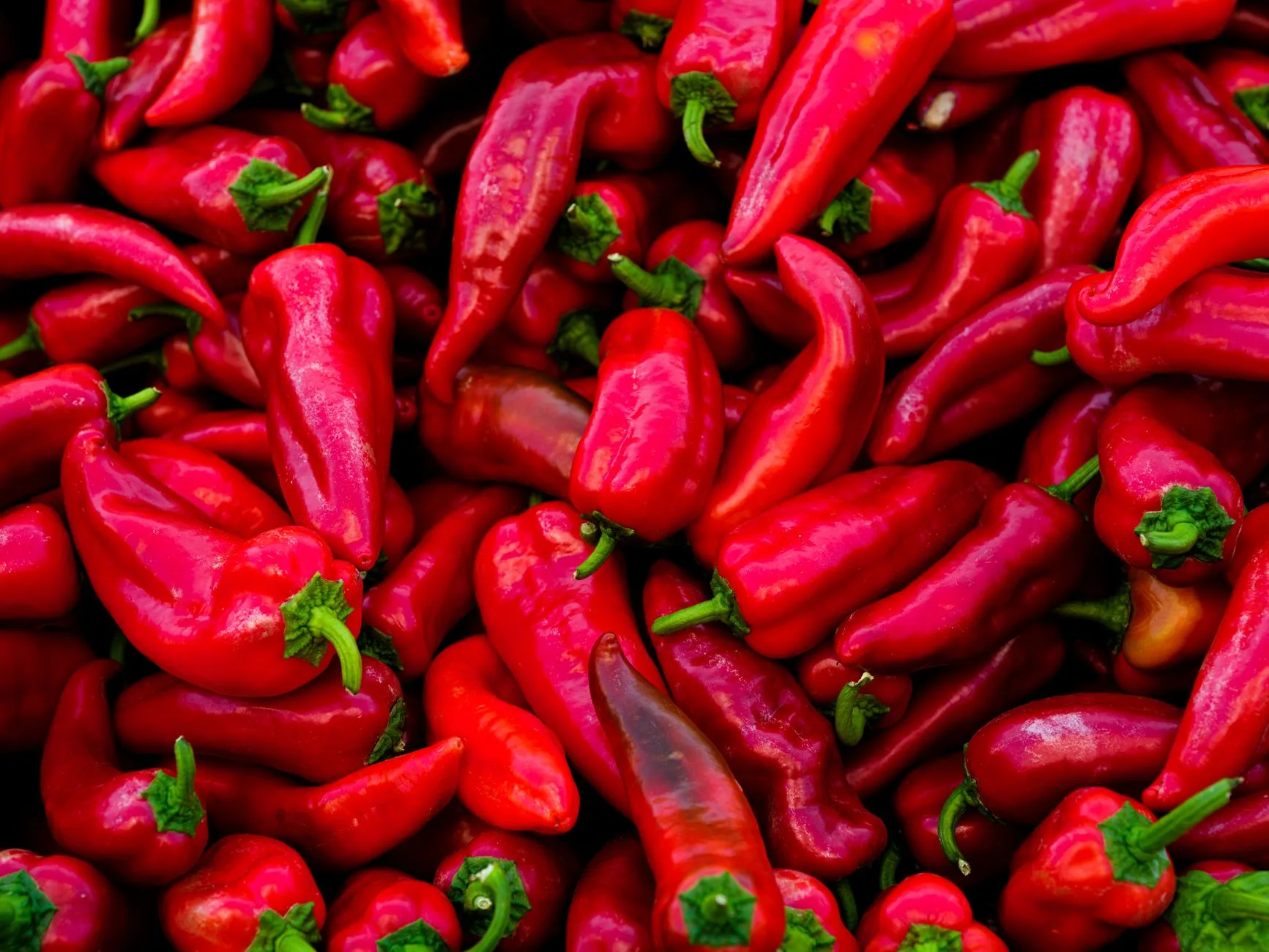 La fête du piment d'Espelette